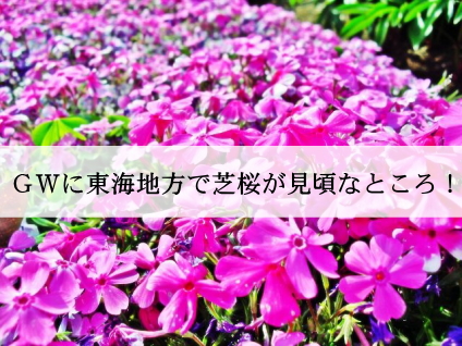 東海地方の芝桜の名所 愛知 岐阜 三重でgwに見頃なところ